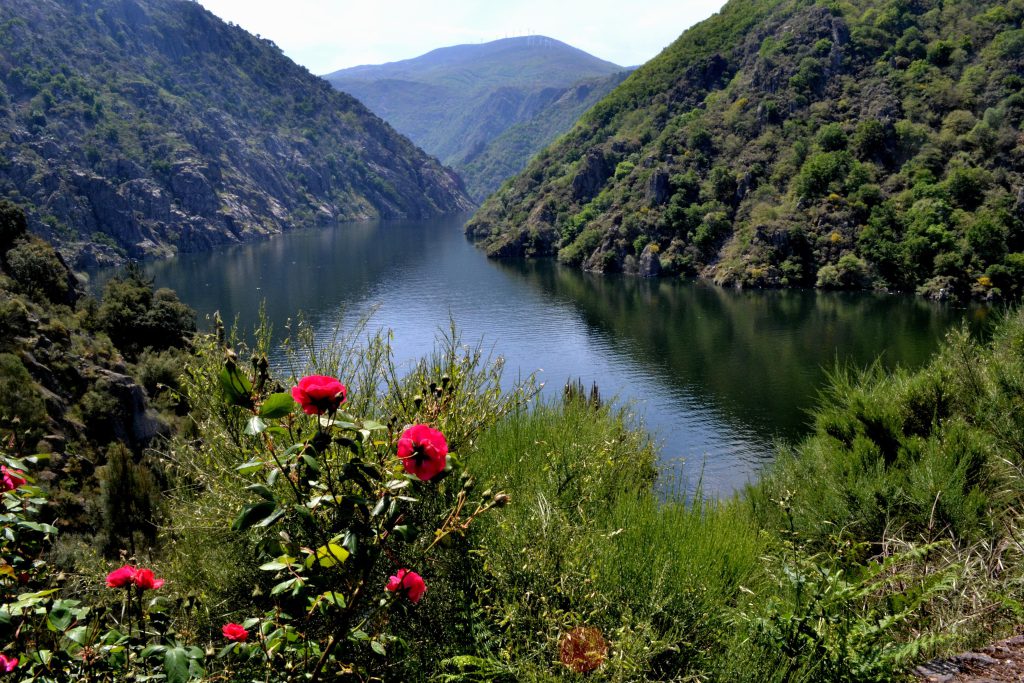 Ribeira Sacra natural