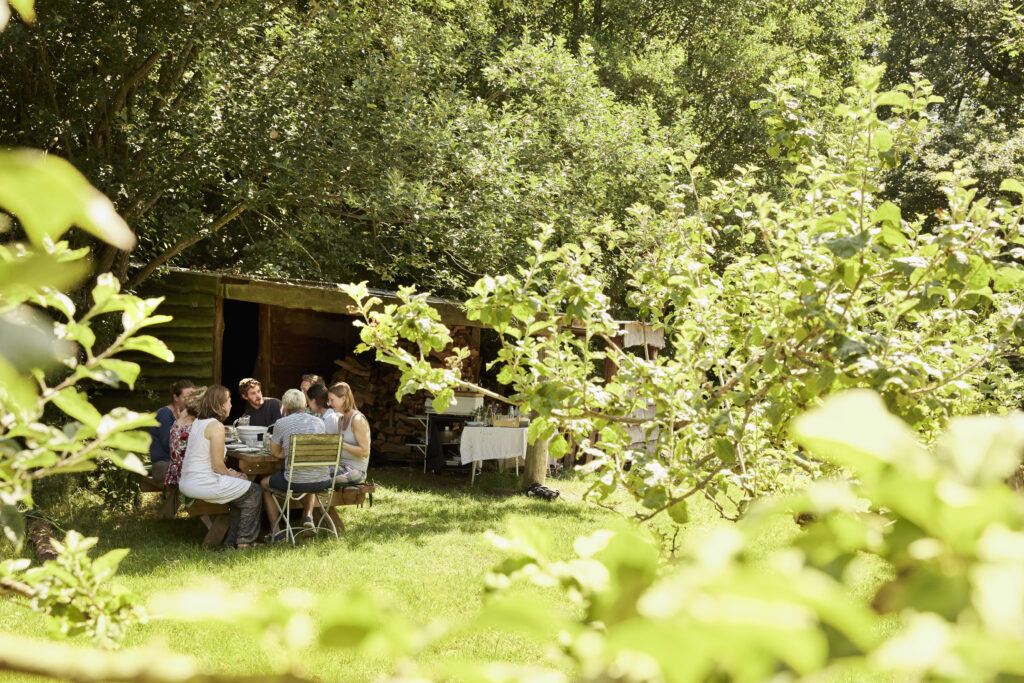 a group of people eating a meal outdoors in summer 2026 01 09 09 42 07 utc